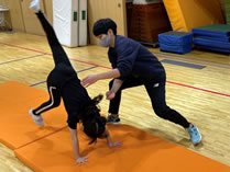 NPO法人レックスポーツの課外教室導入メリット!